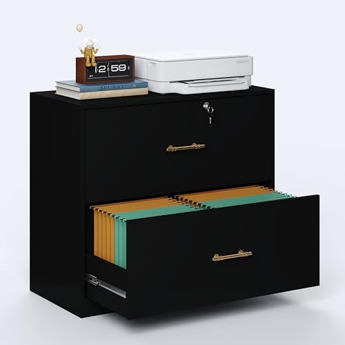2 Drawer Lateral File Cabinet with Lock, Suitable for Letter/A4/F4/Legal Size Hanging Files,Large Wood Filing Storage Cabinets Printer Stand for Home Office,Black