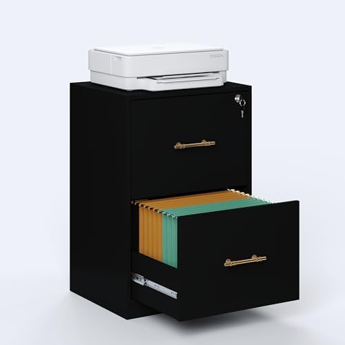 2 Drawer Vertical File Cabinet with Lock, Suitable for