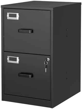 BYNSOE 2 Drawer File Cabinet with Lock Vertical Filing Storage Cabinet Office Home Steel Vertical File Cabinets for Letter Size File Cabinet Locked,Assembly Required