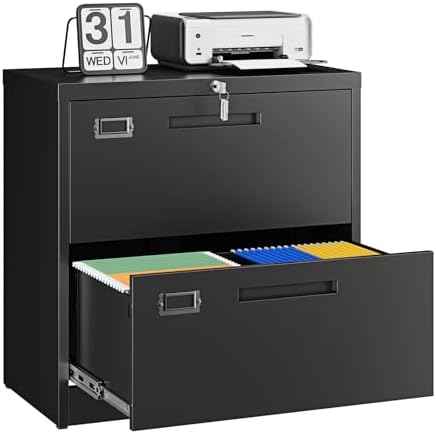 Letaya 2 Drawer File Cabinet with Lock,Metal Lateral Filing Cabinet for Home Office,Hanging Letter/Legal/A4 Size (Black, H27.95×W28.35×D15.74)