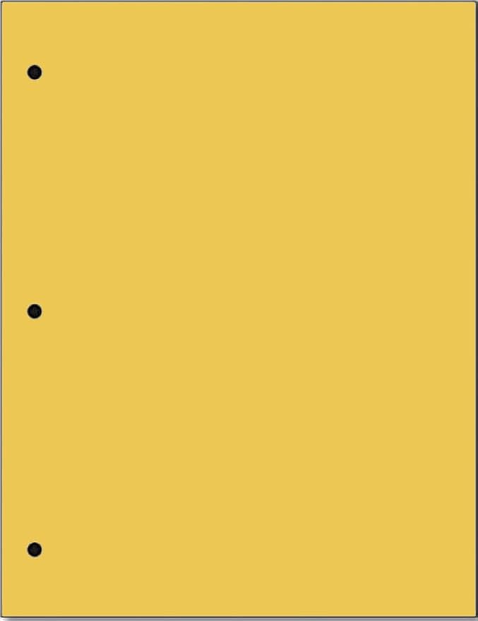Copy And Printing Color Paper, 20 Lb. 3 Hole Punch 500 Sheets Per Ream. by Limited+Papers