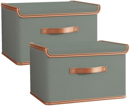 Tuza 2 Pack Storage Bins with Lids, Collapsible Closet Organizer