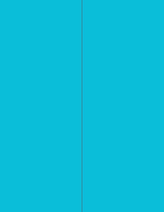NextDayLabels - 8-1/2 x 11 Neon Color High Light Fluorescent Labels by NextDayLabels