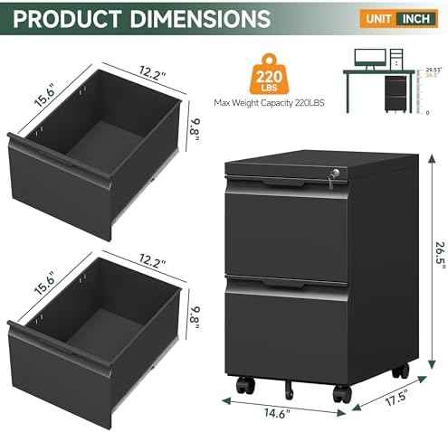 2 Drawer Metal Rolling File Cabinet with Lock, Under Desk Mobile Filing Cabinet for Home Office, Printer Stand with Casters Fits A4/Letter/Legal Size Documents, Black