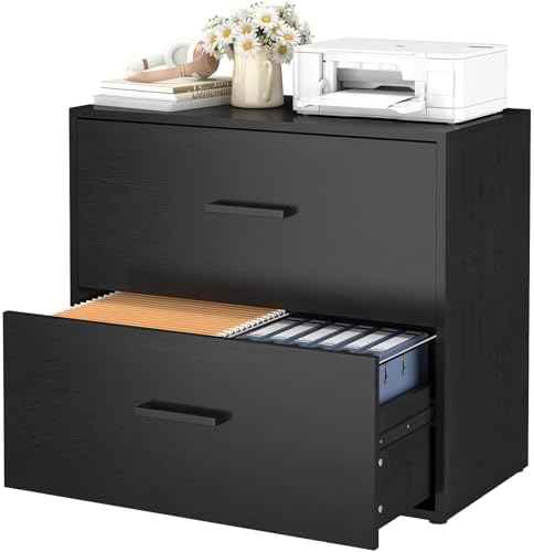 2 Drawer Lateral File Cabinet, Printer Stand Black Filing Cabinets for Home Office and School, Wood Rattan File Cabinet for Hanging Files/Letter, Black