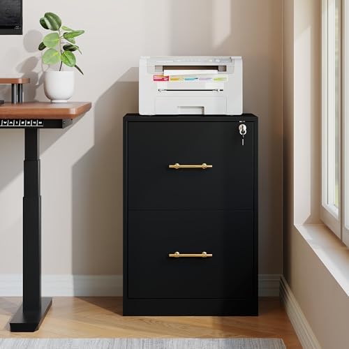 2 Drawer Vertical File Cabinet with Lock, Suitable for