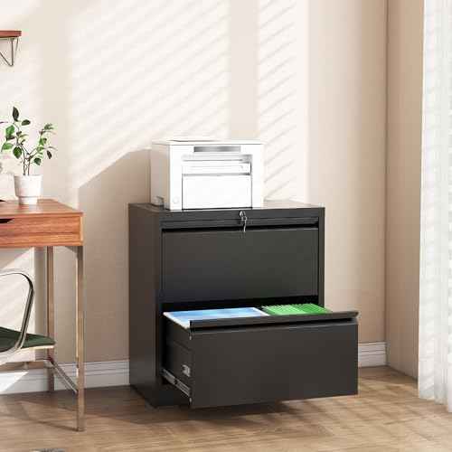 2 Drawer File Cabinet with Lock, 26.8" W Lateral Filing Cabinet