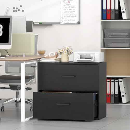 2 Drawer Lateral File Cabinet, Printer Stand Black Filing Cabinets for Home Office and School, Wood Rattan File Cabinet for Hanging Files/Letter, Black