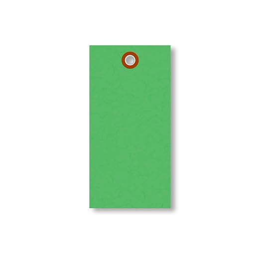 SmartSign 4.75 x 2.375 inch “Green” Blank Tyvek Shipping Tags - Image 5