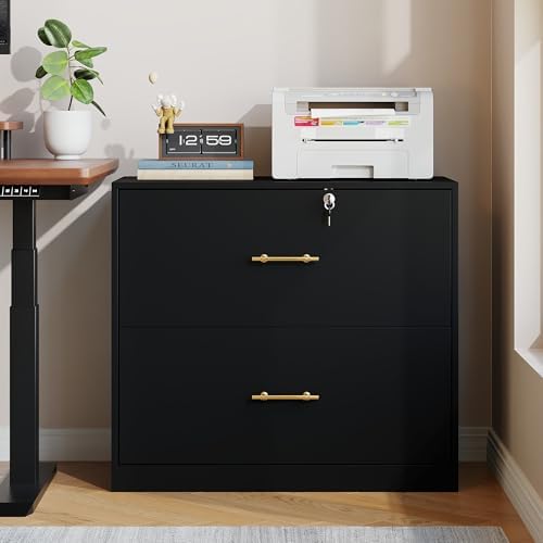 2 Drawer Lateral File Cabinet with Lock, Suitable for Letter/A4/F4/Legal Size Hanging Files,Large Wood Filing Storage Cabinets Printer Stand for Home Office,Black
