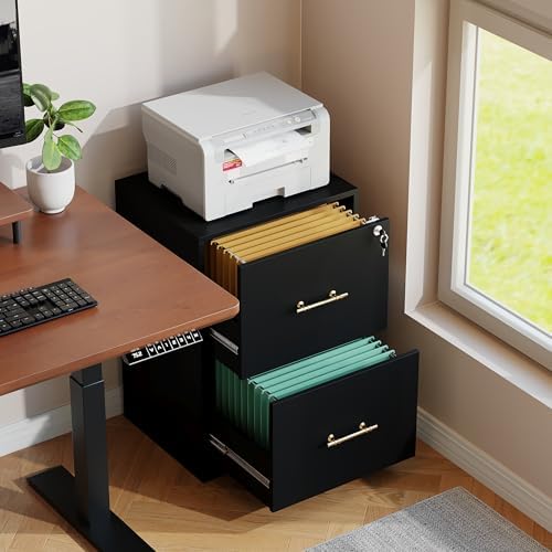2 Drawer Vertical File Cabinet with Lock, Suitable for