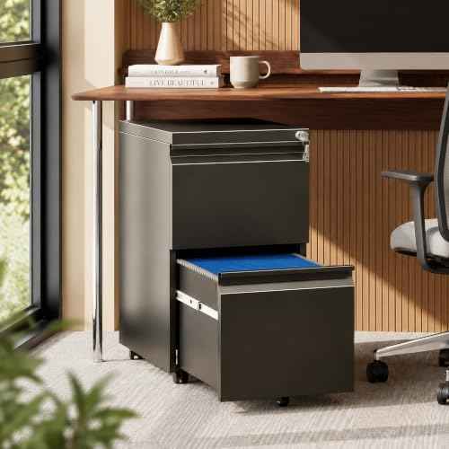 Fully Assembled 2 Drawer Mobile File Cabinet with Lock