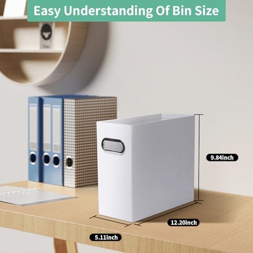 Collapsible File Organizer Box with Handle, Filing Organizer for Home or Office, Small Portable File Box(1 Pack, White)