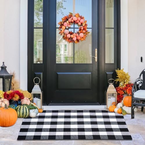 Buffalo Plaid Area Rug 3x5 Ft, Black White Indoor Outdoor Rug