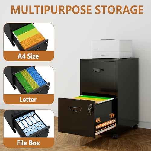 Polup 2 Drawer Rolling File Cabinet with Lock for Home Office