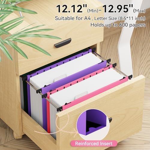 ANSOOK Plastic Hanging File Folders Letter Size, 3 Inch Reinforce