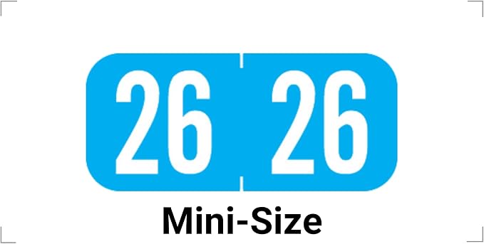 MINI 2026 Year Stickers, Doctor Stuff 2026 Chart Stickers, Light Blue Color by DoctorStuff