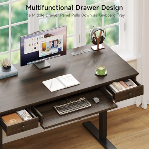 55 x 23 Inch Electric Standing Desk with Drawers, Dark Walnut