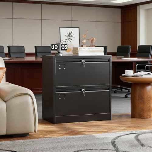 SUXXAN Lateral File Cabinet with Lock and Name Card Slots, 2 Drawer Metal Filing Cabinet for Home Office, Individual Locking System for Privacy, Heavy Duty Steel Storage for Letter/Legal Size