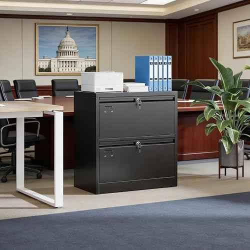 SUXXAN Lateral File Cabinet with Lock and Name Card Slots, 2 Drawer Metal Filing Cabinet for Home Office, Individual Locking System for Privacy, Heavy Duty Steel Storage for Letter/Legal Size