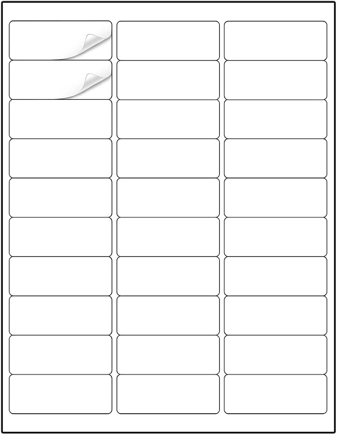 Methdic Address Labels 1" x 2-5/8" 900 Labels Sticker Paper by Methdic
