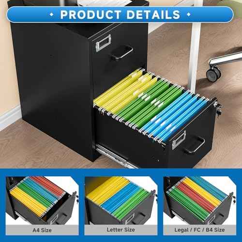 BYNSOE 2 Drawer File Cabinet with Lock Vertical Filing Storage Cabinet Office Home Steel Vertical File Cabinets for Letter Size File Cabinet Locked,Assembly Required