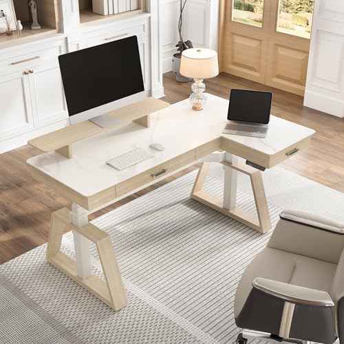 EUREKA ERGONOMIC Electric Standing Desk with Dual Drawers,63 Inches Height Adjustable L-Shaped Office Desk,Sit Stand Desk Ergonomic Executive Desk Computer Workstations with Monitor Stand,Right/White