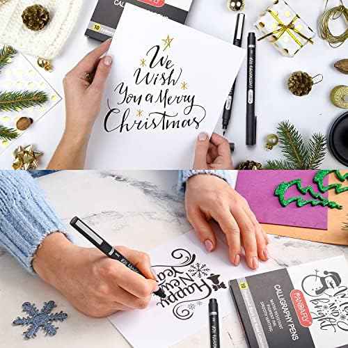 PANDAFLY Calligraphy Pens for Writing, 10 Size, Hand Lettering Pens