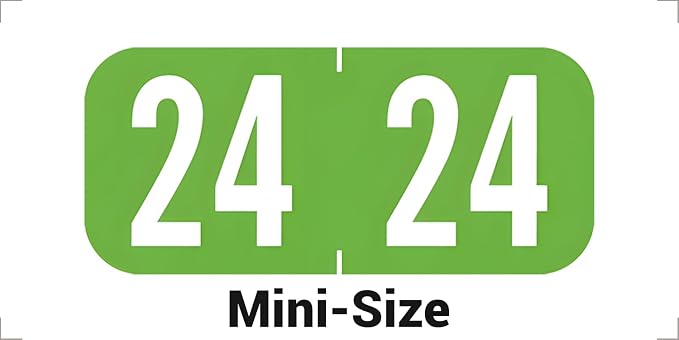 MINI 2024 Year Stickers, Doctor Stuff 2024 Chart Stickers, Light Green Color by DoctorStuff