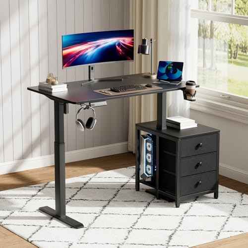 REAHOME 47 Inch Black Electric Height Adjustable Standing Desk with Drawers