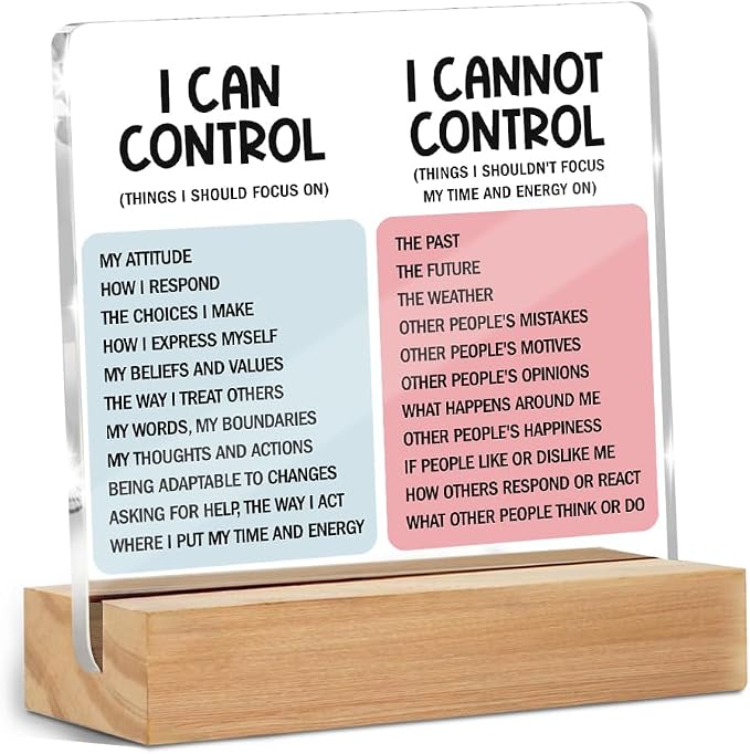 Mental Health Desk Decor Things I Can Control Acrylic Sign, Inspirational Gifts by ZHAMEN
