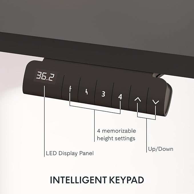 FLEXISPOT E6 3-Stage Dual Motor Electric Standing Desk 48 x 24 Sit Stand Up Desk - Image 3