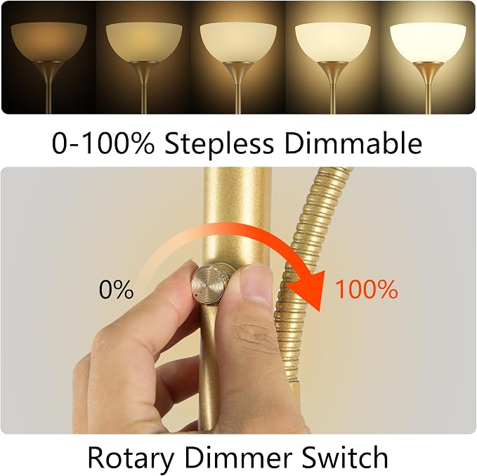 RISLG Floor Lamp, Standing lamp, Stepless Dimming Brightness, Included 9W and - Image 2