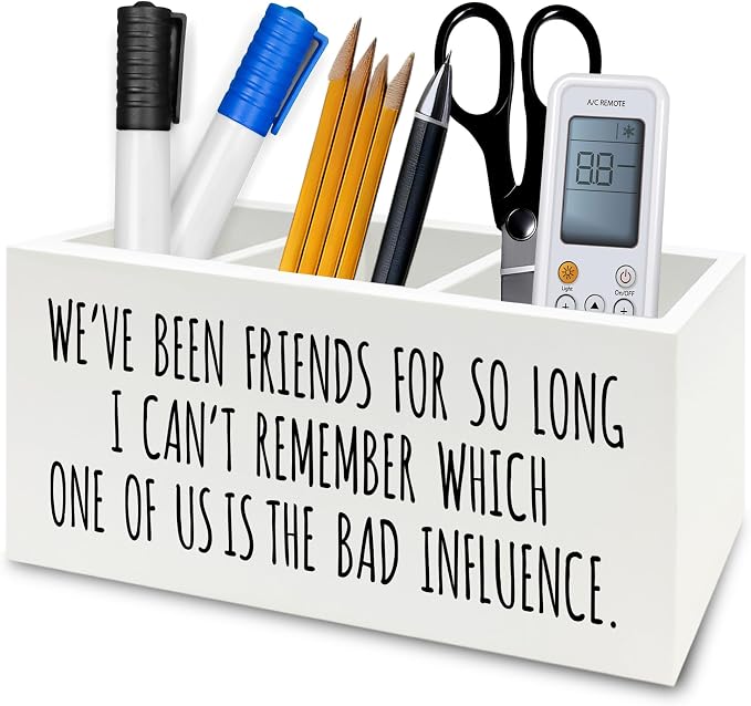 QZQE Funny Sarcastic Friendship Pen Pencil Holder Organizer by Unknown