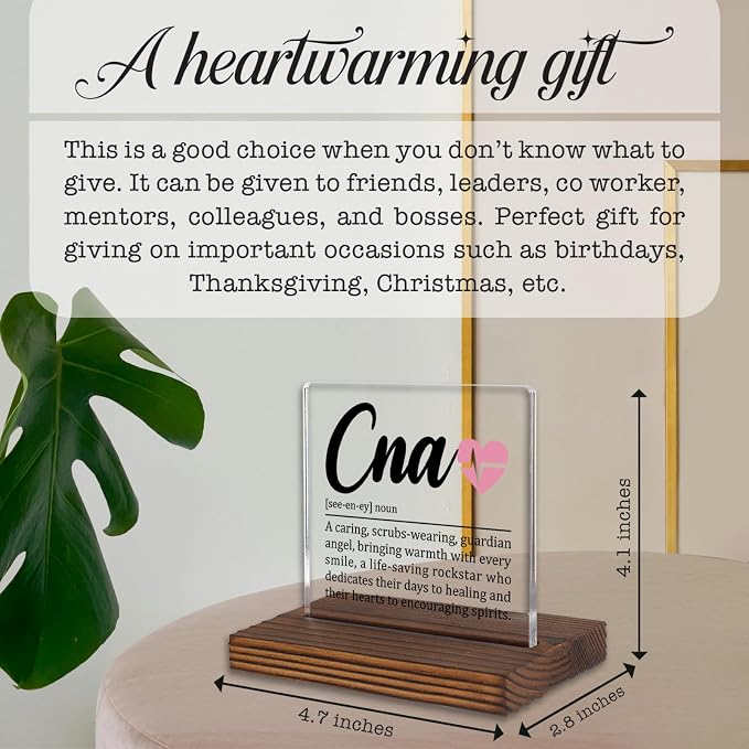 CNA Appreciation Gift Desk Sign, Thank You Plaque - Image 4