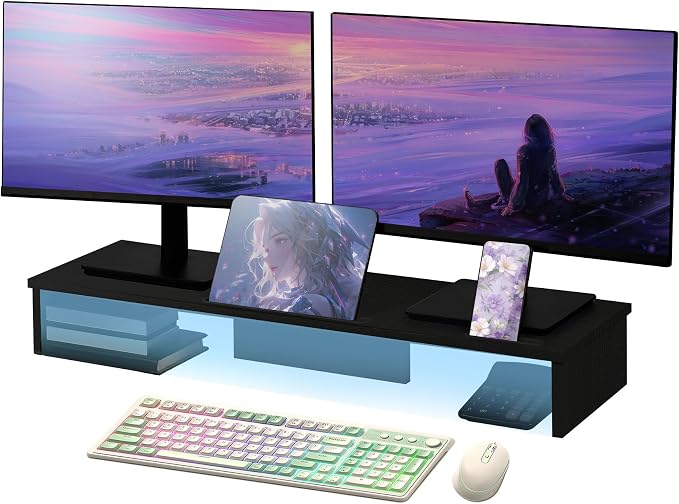 Qupui Dual Monitor Stand Riser by Qupui