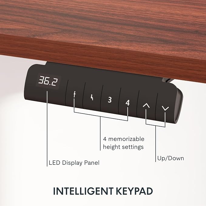 FlexiSpot E6 3-Stage Dual Motor Electric Standing Desk 48 x 30 Sit Stand Up Desk - Image 4
