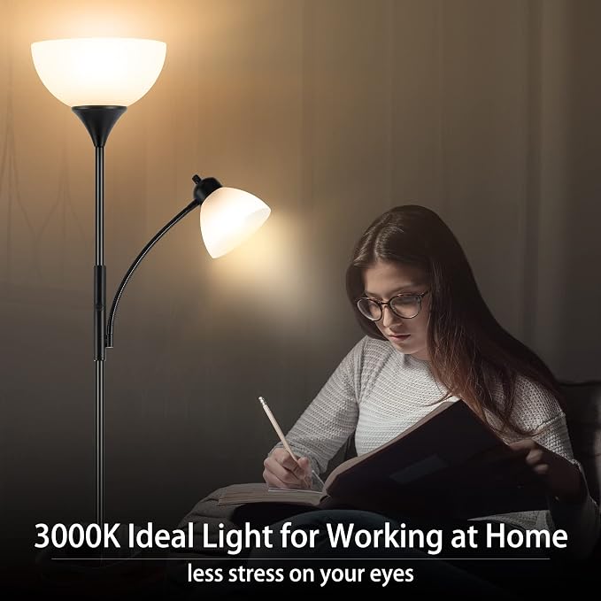 RISLG Floor Lamp, Dimmable Standing lamp, Stepless Dimming Brightness, Included - Image 7