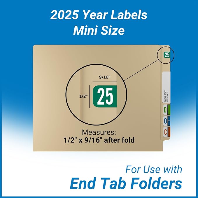 MINI 2025 Year Stickers, Doctor Stuff 2025 Chart Stickers, Tab 1287 Style - Image 5