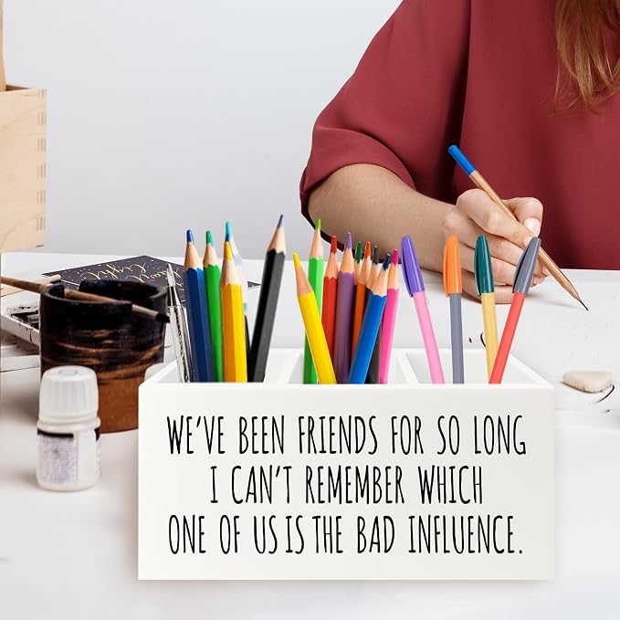 QZQE Funny Sarcastic Friendship Pen Pencil Holder Organizer - Image 2
