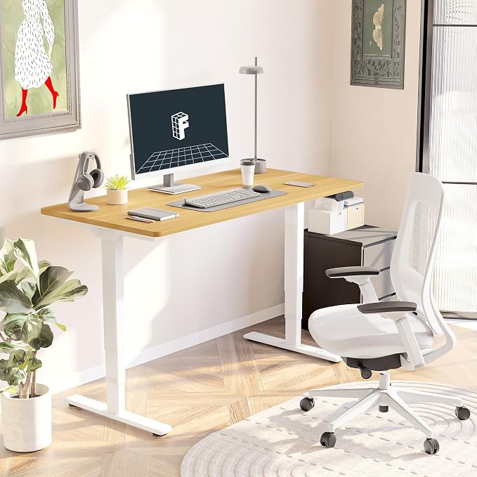 FLEXISPOT E6 3-Stage Dual Motor Electric Standing Desk 55 x 28 Sit Stand Up Desk - Image 2