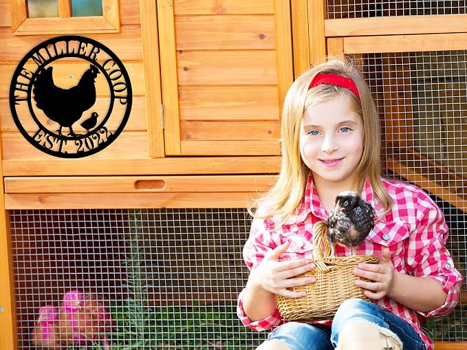 Chicken Coop Signs, Chicken Coop Decor, Chicken Coop Accessories, Custom Farm - Image 2