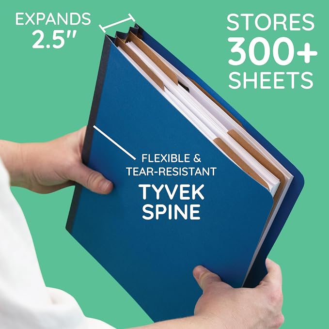 10 Blue Classification Folders - Image 2