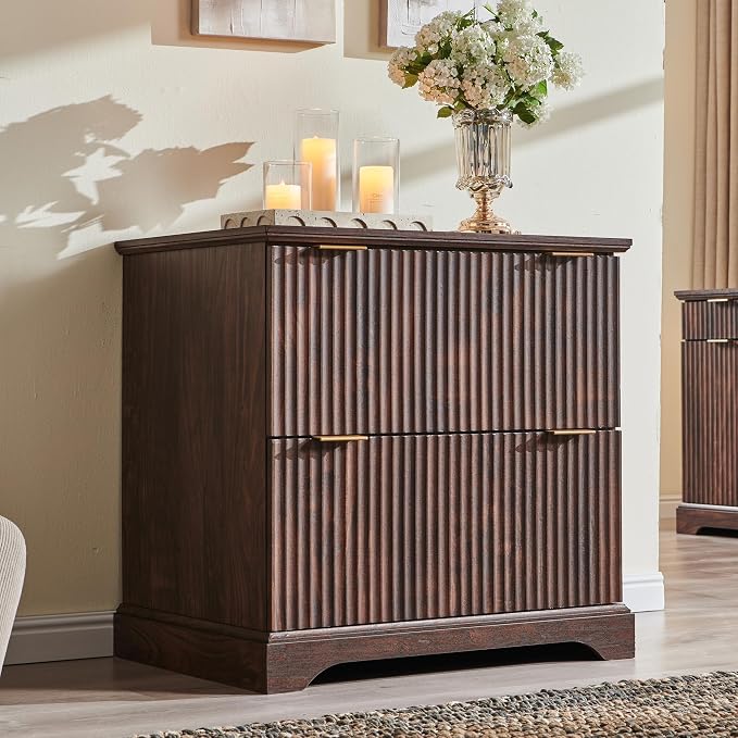 JXQTLINGMU 2 Drawer File Cabinet by JXQLINGMUFurniture