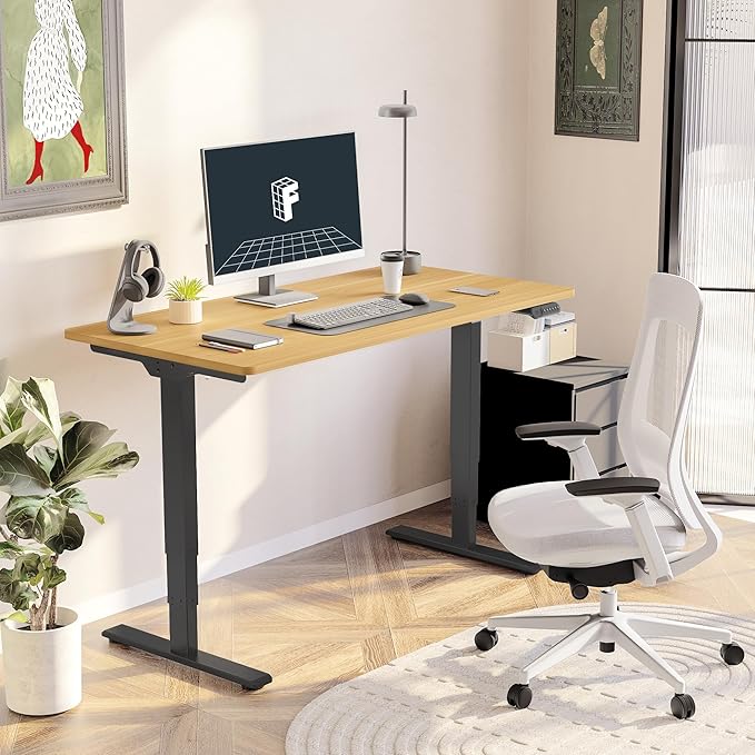 FLEXISPOT E6 3-Stage Dual Motor Electric Standing Desk 55 x 28 Sit Stand Up Desk - Image 2