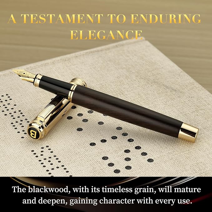 BEILUNER 316 Fountain Pen, Stunning Luxury Blackwood, 24K Gilded Nib, Gorgeous - Image 7
