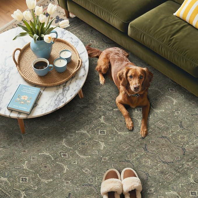 GENIMO 9x12 Area Rugs for Living Room, Machine Washable Non Slip Vintage Rugs - Image 3